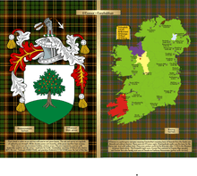 Load image into Gallery viewer, Irish Info Jigsaw Puzzle (525 pcs)
