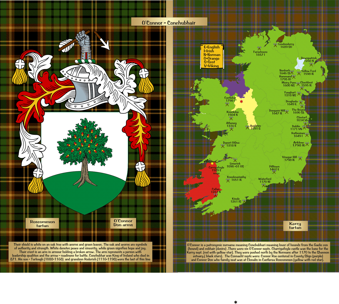 Irish Info Jigsaw Puzzle (525 pcs)