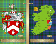 Load image into Gallery viewer, Irish Info Jigsaw Puzzle (525 pcs)
